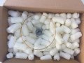 Yumuşak Paket Dolgu Malzemesi Şekli Kozayı ve S Harfini Andırıyor Naylon Çuval 5-kğ Civarı