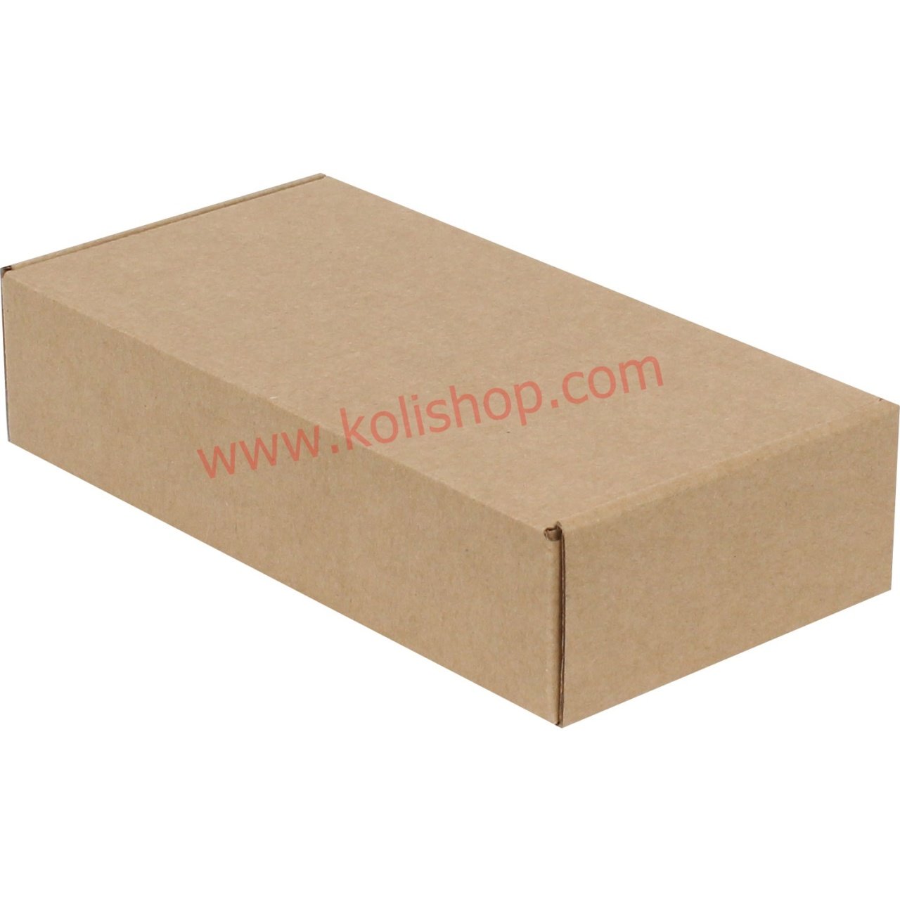 Kilitli Kutu 24x12x5.5 cm