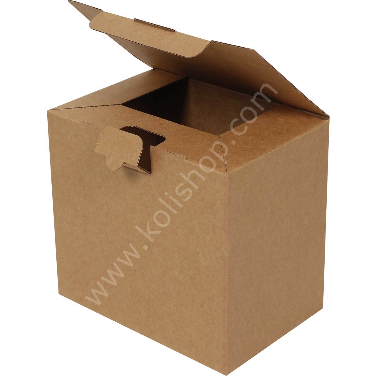 Kilitli Kutu 22x15x20 cm